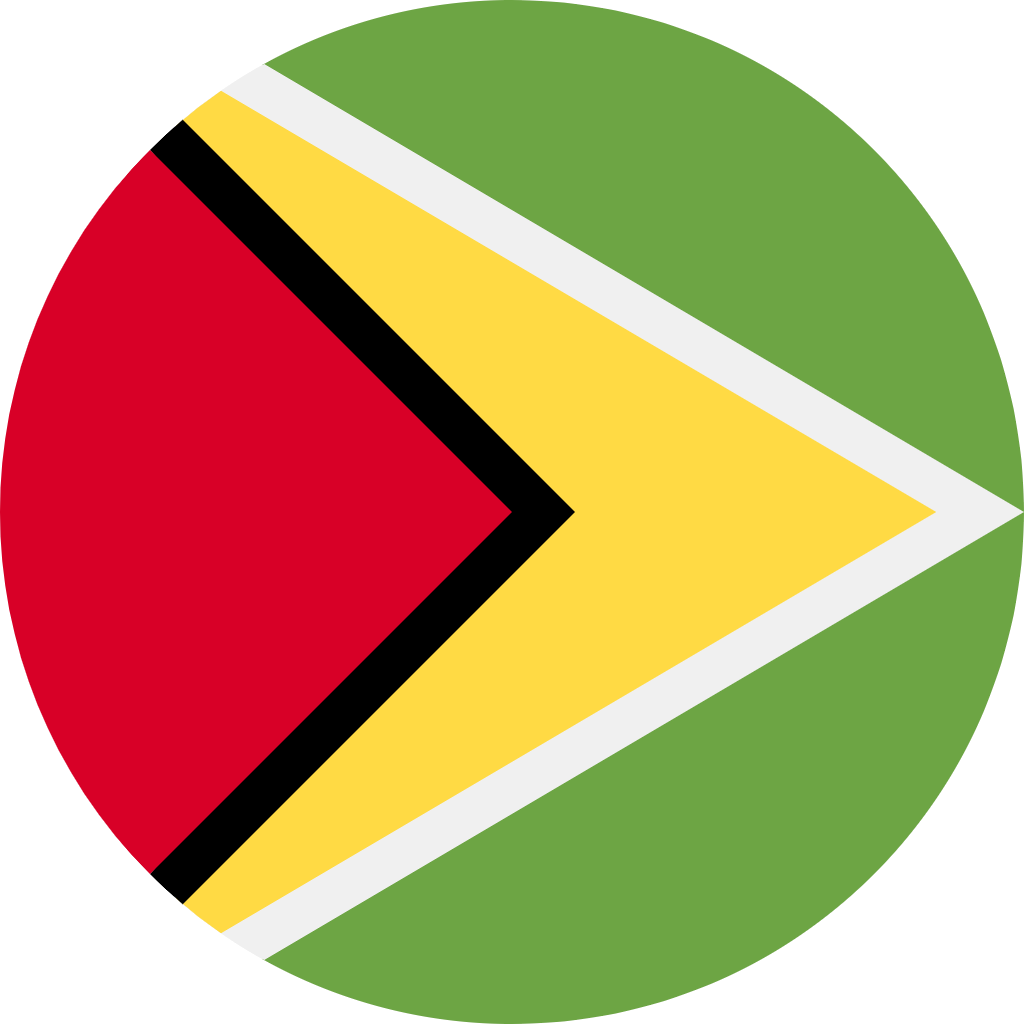 Guyana flag