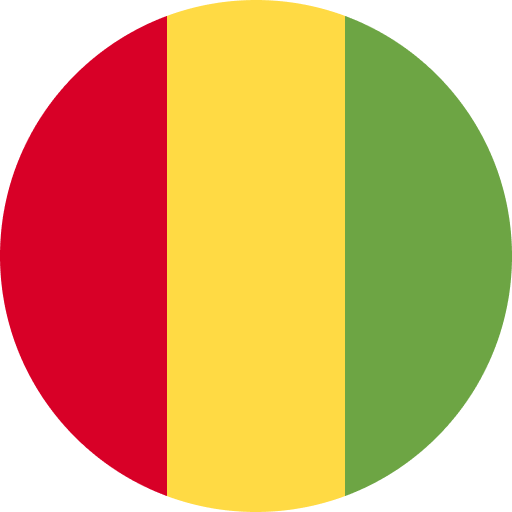 Guinea Logo